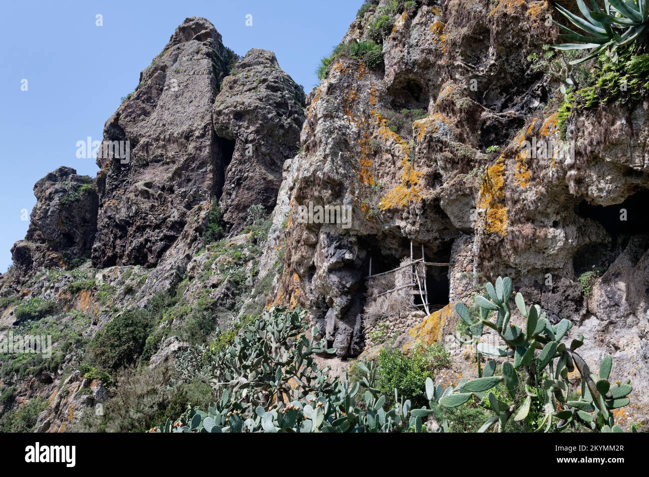 Capanna di Pastore, costruita sotto lo sbalzo roccioso nella vetta del Roque Bichuelo, vicino al villaggio di Chamorga, alle montagne di Anaga, Tenerife, Isole Canarie, Spagna, novembre. Foto Stock