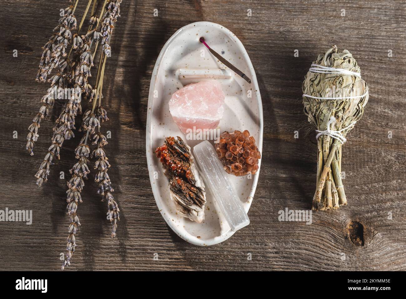 Poggiapolsi kit - Palo Santo bastoni, Wildcrafted essiccata bianca salvia  (Salvia apiana), artemisia (Artemisia vulgaris), e cedro Siskiyou Foto  stock - Alamy