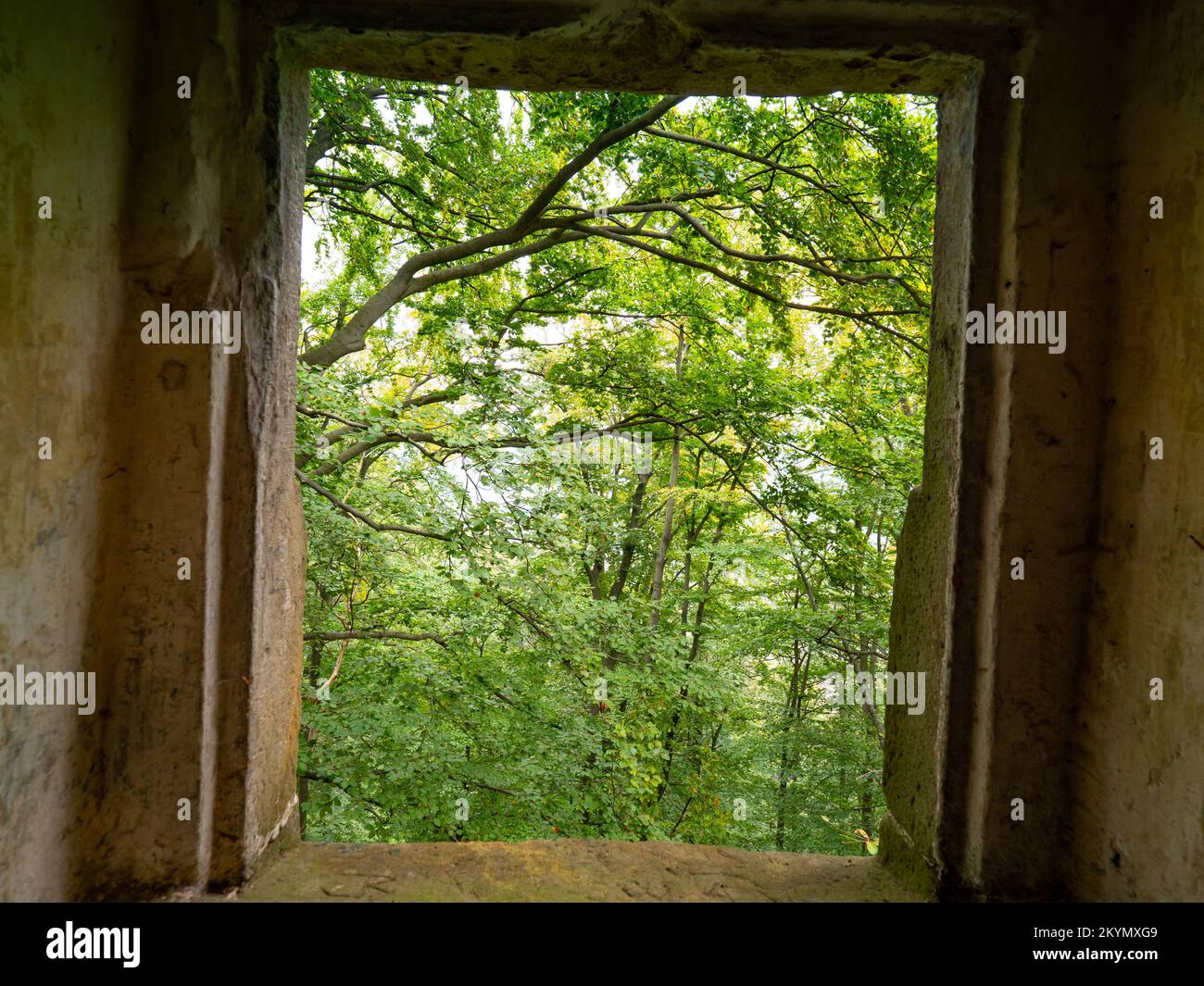 Casa di pietra con vetrata di pietra. Casa in pietra abbandonata con finestra vuota si affaccia su una foresta nebbiosa. Foto Stock