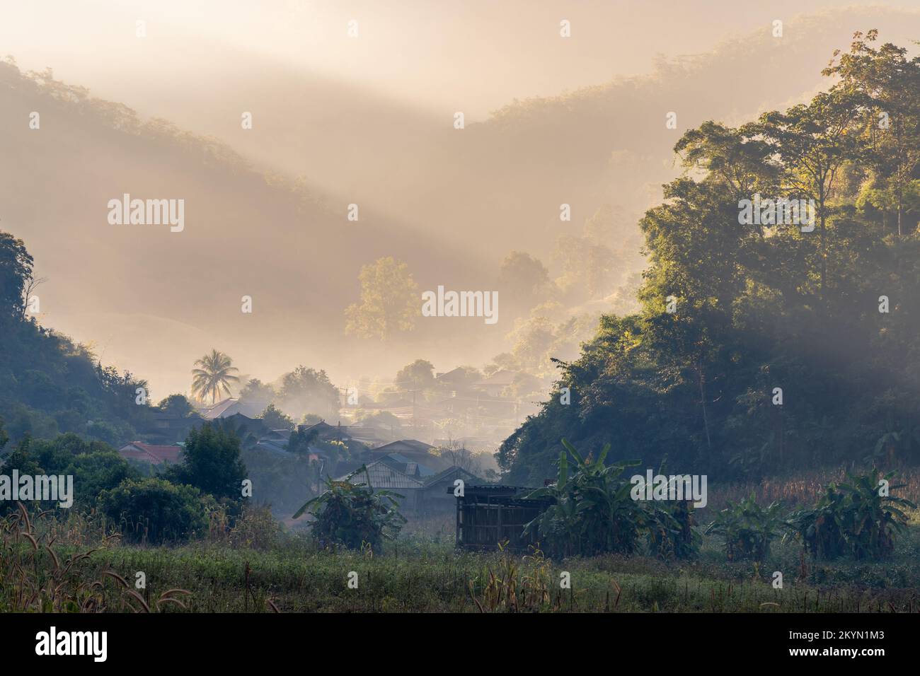 Vista panoramica del paesaggio rurale nella luce del mattino presto luminoso del villaggio e della foresta nella bella valle di montagna, Chiang Dao, Chiang mai, Thailandia Foto Stock