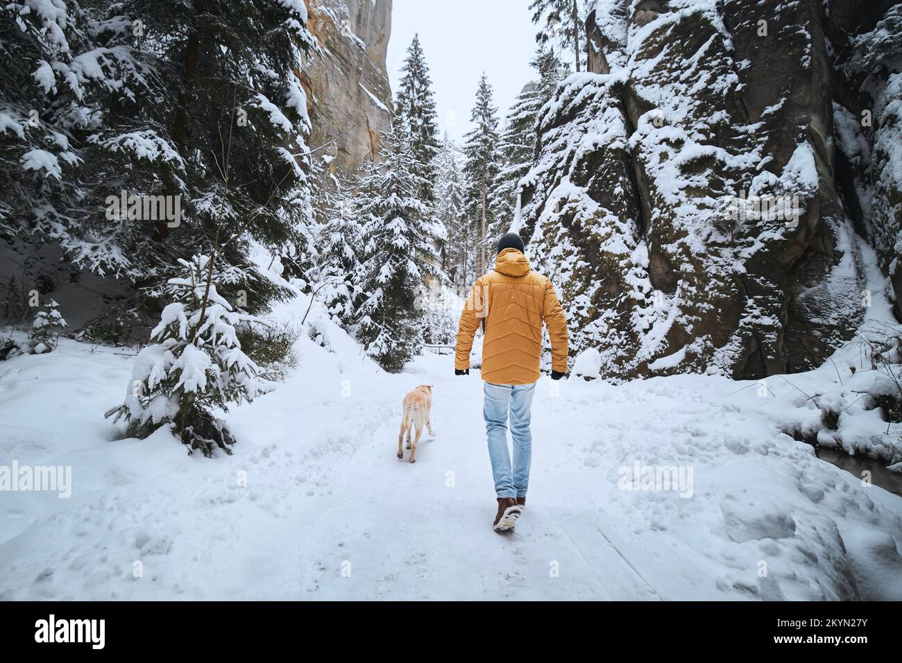 Uomo con cane durante il giorno d'inverno. Il proprietario dell'animale domestico che cammina sul sentiero innevato con il suo labrador Retriever. Foto Stock