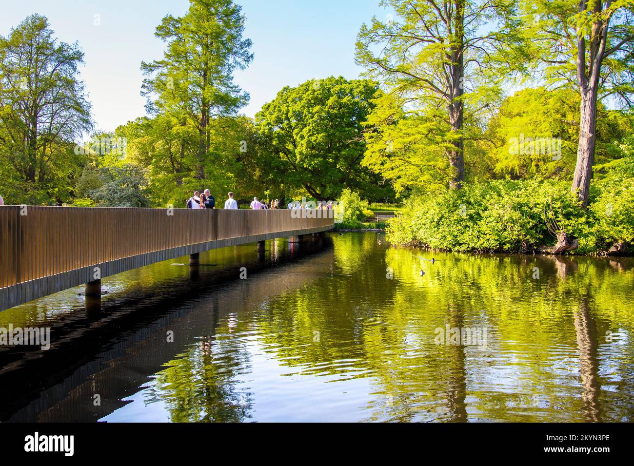 Sackler Crossing Bridge sul lago a Kew Gardens, Richmond, Londra, Regno Unito Foto Stock