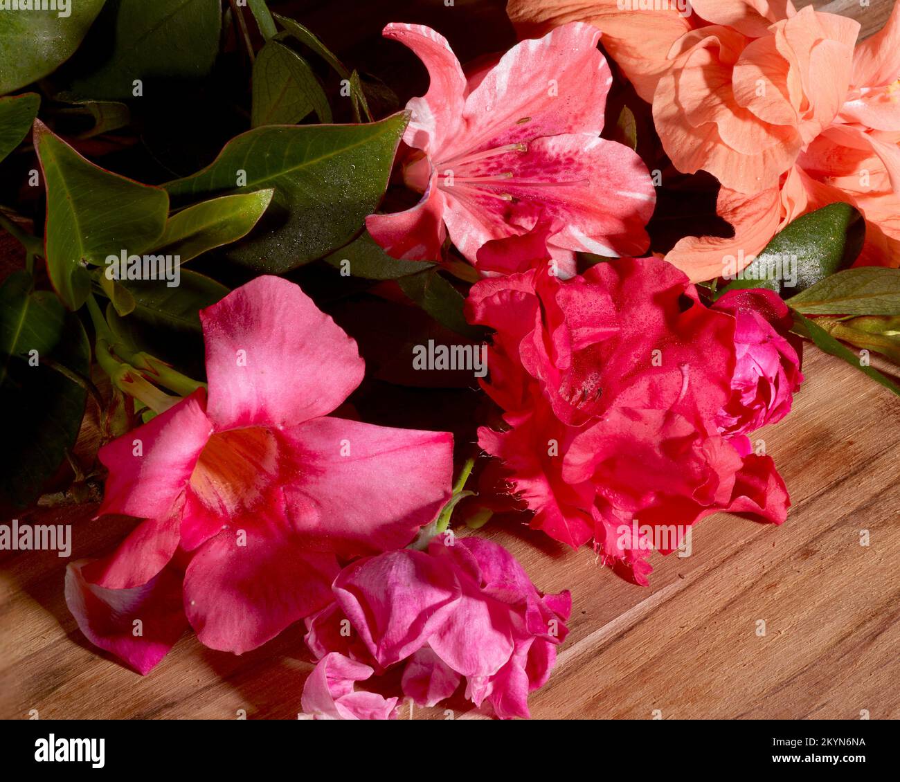 Fiori tropicali colorati su un tavolo di legno Foto Stock