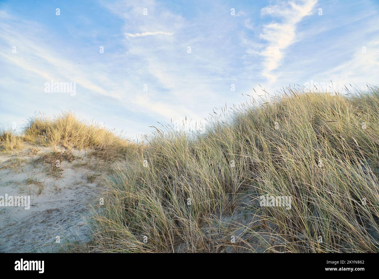 Traversata in spiaggia in Danimarca dal mare. Dune, acqua di sabbia e nuvole sulla costa. Gita al Mar Baltico. Vacanza sulla spiaggia. Paesaggio Scandinavia Foto Stock