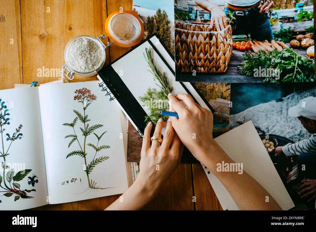 Mani dello stilista di alimenti femminili che organizzano le erbe sul diario al tavolo Foto Stock Mani dello stilista di alimenti femminili che organizzano le erbe sul diario al tavolo Foto Stock