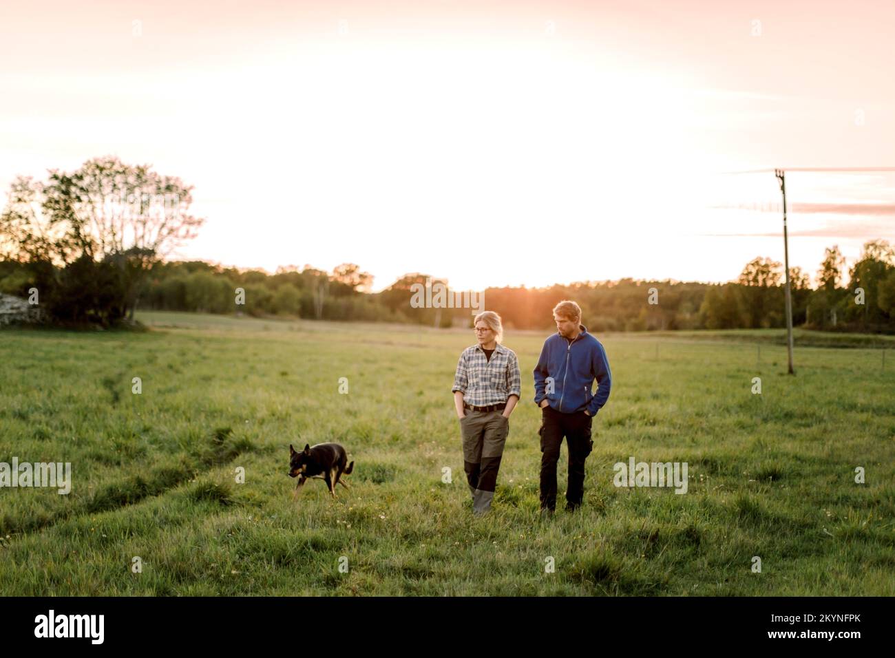 Coppia matura con cane che cammina sul campo durante il tramonto Foto Stock