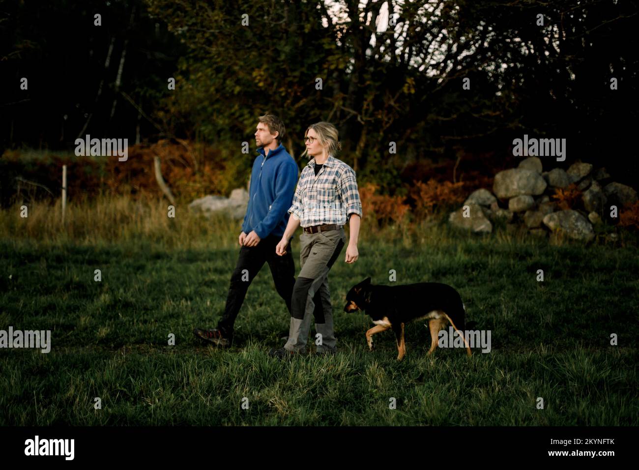 Coppia matura che cammina con il cane sul campo al tramonto Foto Stock