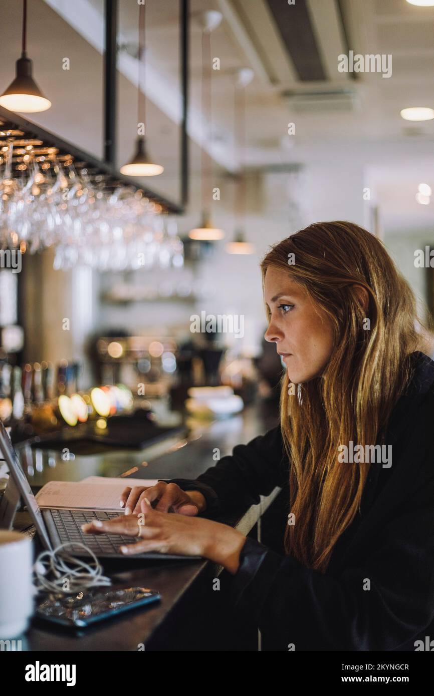 Vista laterale di una donna d'affari che utilizza un computer portatile al banco del bar Foto Stock Vista laterale di una donna d'affari che utilizza un computer portatile al banco del bar Foto Stock