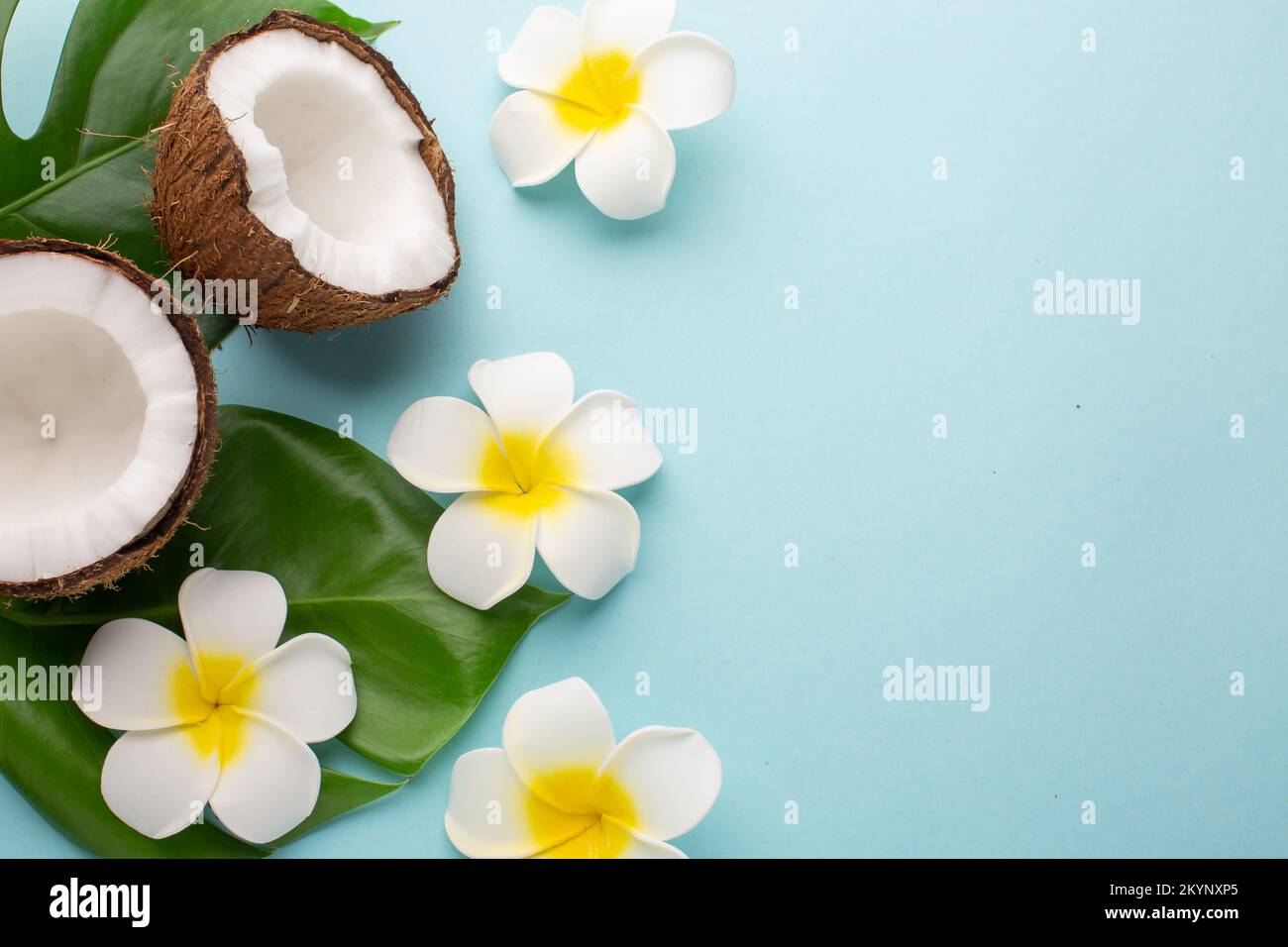 Noci di cocco mature e fiori su sfondo colorato. Foto di alta qualità Foto Stock