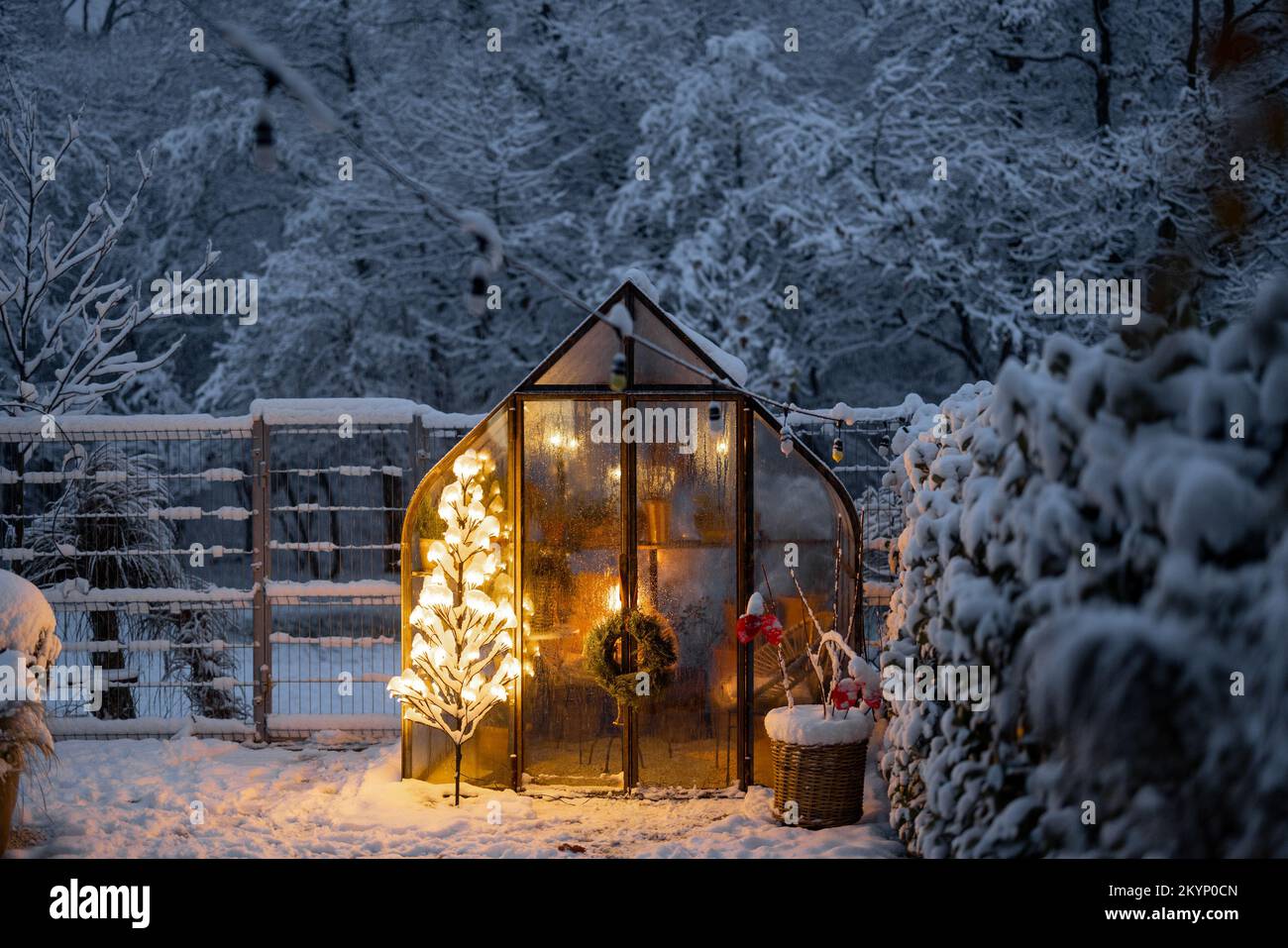 Cortile innevato con serra e graland di alberi incandescente Foto Stock