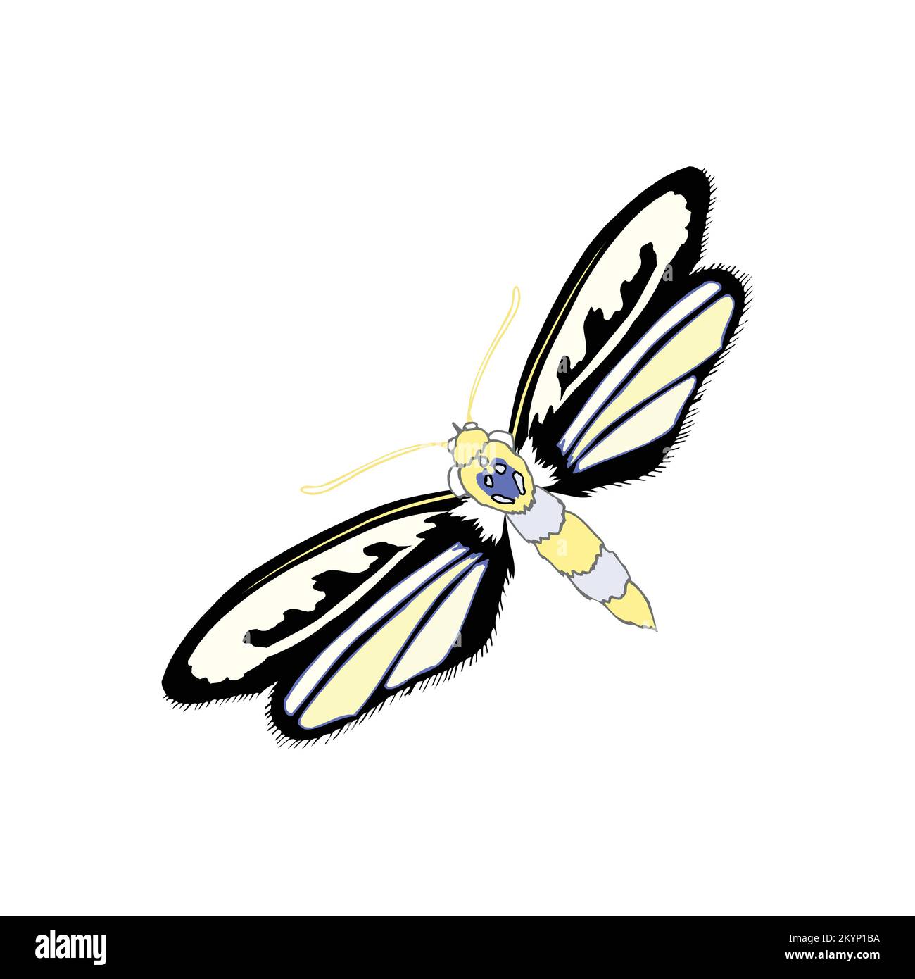 Logo Flying Butterfly con icona a forma di cerchio su sfondo magenta Illustrazione Vettoriale