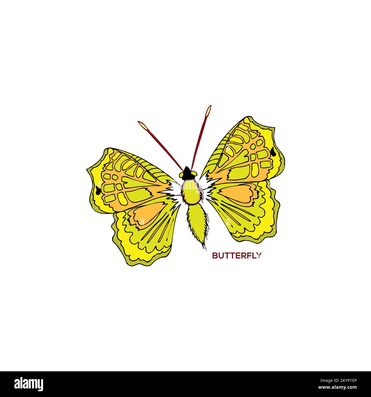 Design vettoriale del logo della farfalla creativa su sfondo bianco Illustrazione Vettoriale