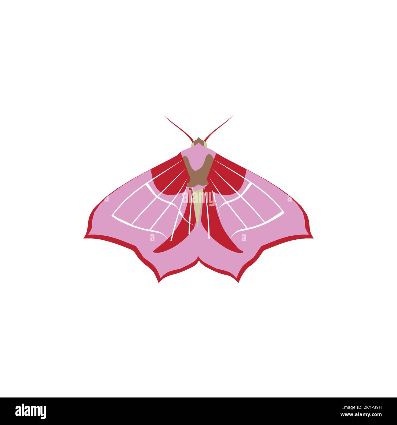 Disegno vettoriale a farfalla con logotipo e sfondo bianco Illustrazione Vettoriale