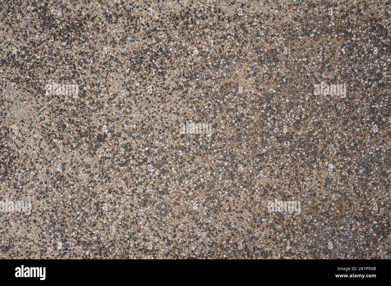 Texture di piccola roccia peddle su sfondo di sabbia vista ravvicinata Foto Stock