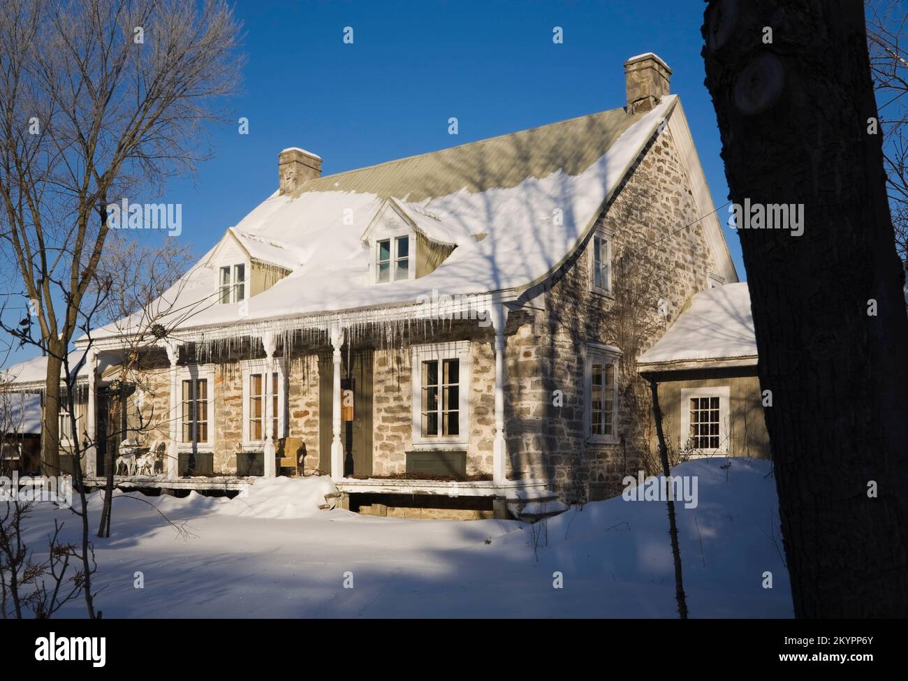 Vecchio 1700s due piani in stile Canadiana fieldstone casa attraverso gli alberi in inverno. Foto Stock