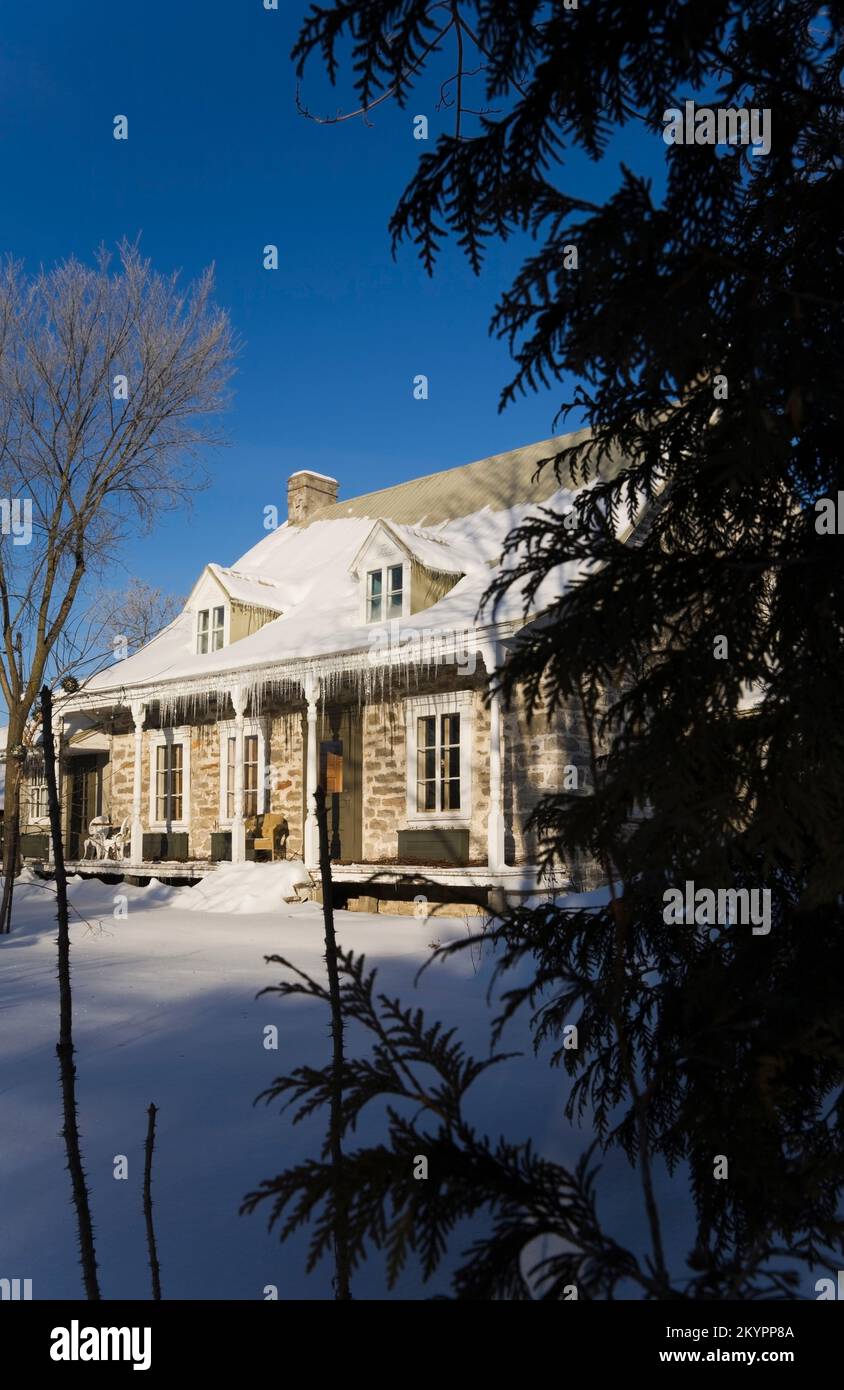 Vecchio 1700s due piani in stile Canadiana fieldstone casa attraverso gli alberi in inverno. Foto Stock