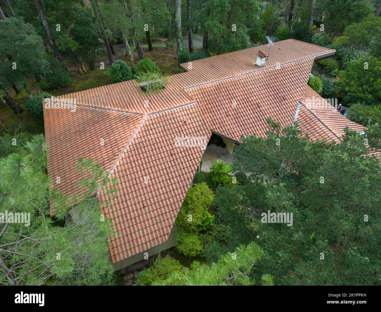 Veduta aerea di un tetto casa di un architetto nella foresta delle Lande (Hossegor, Lande, Nuova Aquitania, Francia). Foto Stock