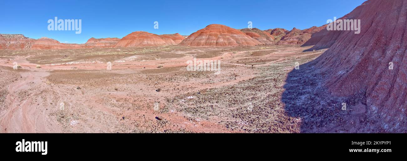 Le colline a nord della Valle di Tiponi nel Parco Nazionale della Foresta pietrificata in Arizona. Foto Stock