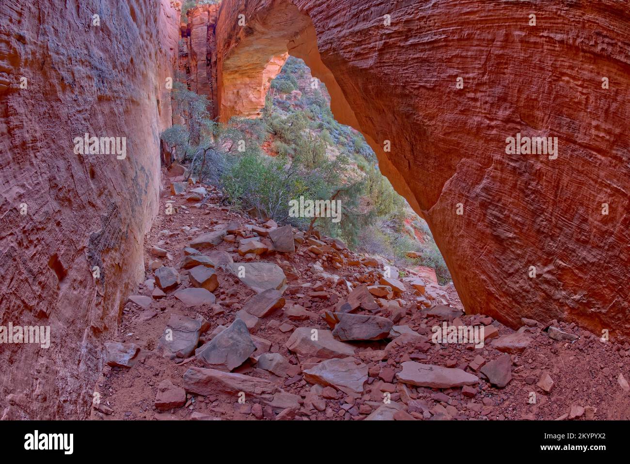 L'arco naturale del Fay Canyon a Sedona, Arizona. Foto Stock
