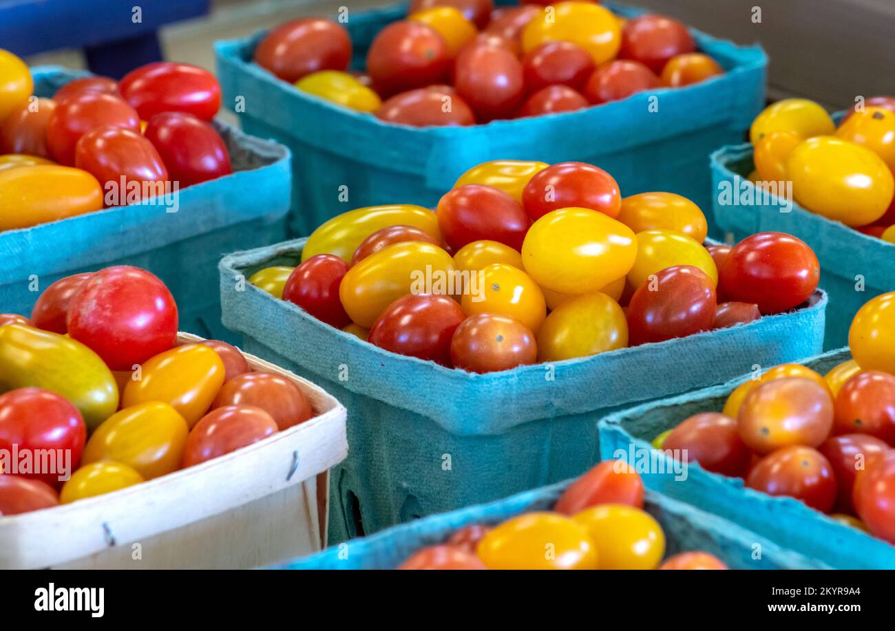 Pinte di bellissimi, colorati e sani pomodori ciliegini sono venduti in un mercato agricolo in Michigan USA Foto Stock