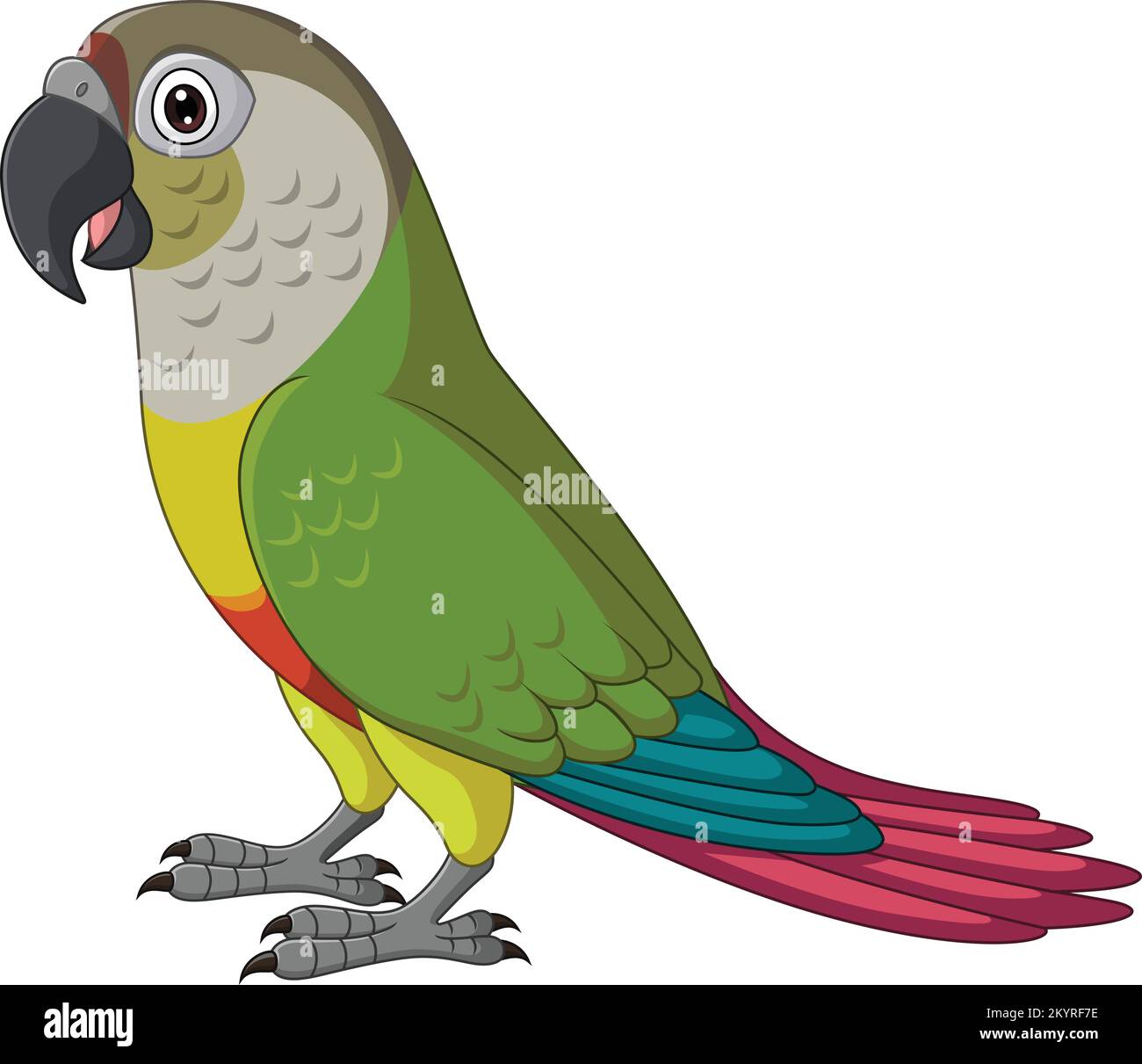 Cartone animato Verde pappagallo imbrogliato su sfondo bianco Illustrazione Vettoriale