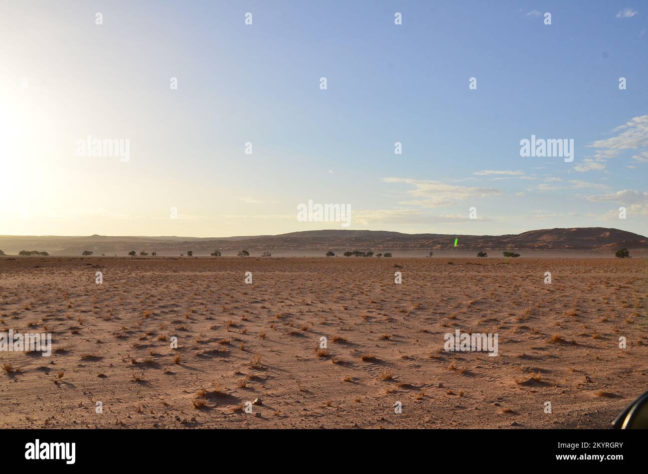 Incredibile vista dalla duna in padella asciutta del Parco Nazionale di Sossusvlei Namib Naukluft Foto Stock