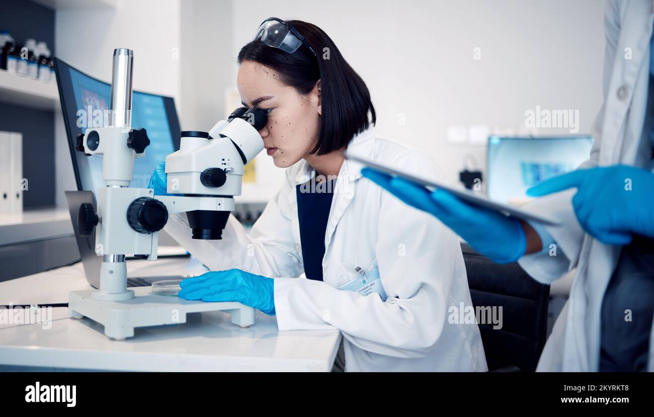 Scienza di laboratorio, ricerca al microscopio e scienziato che lavora sullo sviluppo medico futuro per il virus sul lavoro. Donna in ospedale farmaceutico per soluzione Foto Stock