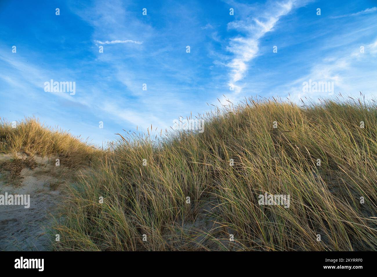 Traversata in spiaggia in Danimarca dal mare. Dune, acqua di sabbia e nuvole sulla costa. Gita al Mar Baltico. Vacanza sulla spiaggia. Paesaggio Scandinavia Foto Stock