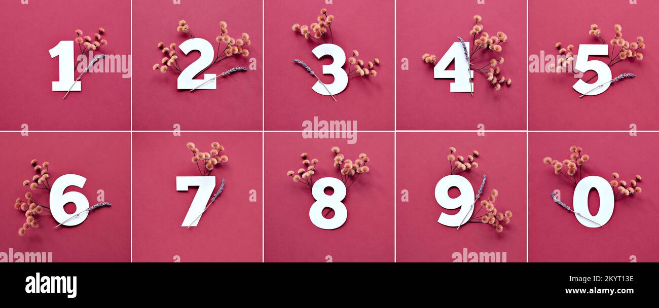 Numeri con erba secca, fiori di lavanda. Numeri da uno a dieci su carta rossa. Foto Stock