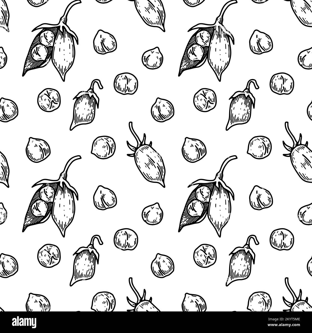 Ceci disegnati a mano modello senza cuciture. Illustrazione vettoriale nello stile di schizzo Illustrazione Vettoriale