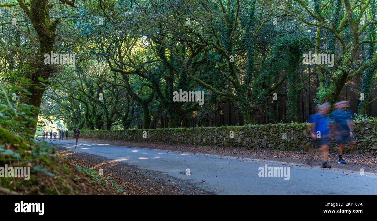 Pellegrini sulla strada per santiago, movimento sfocato Foto Stock