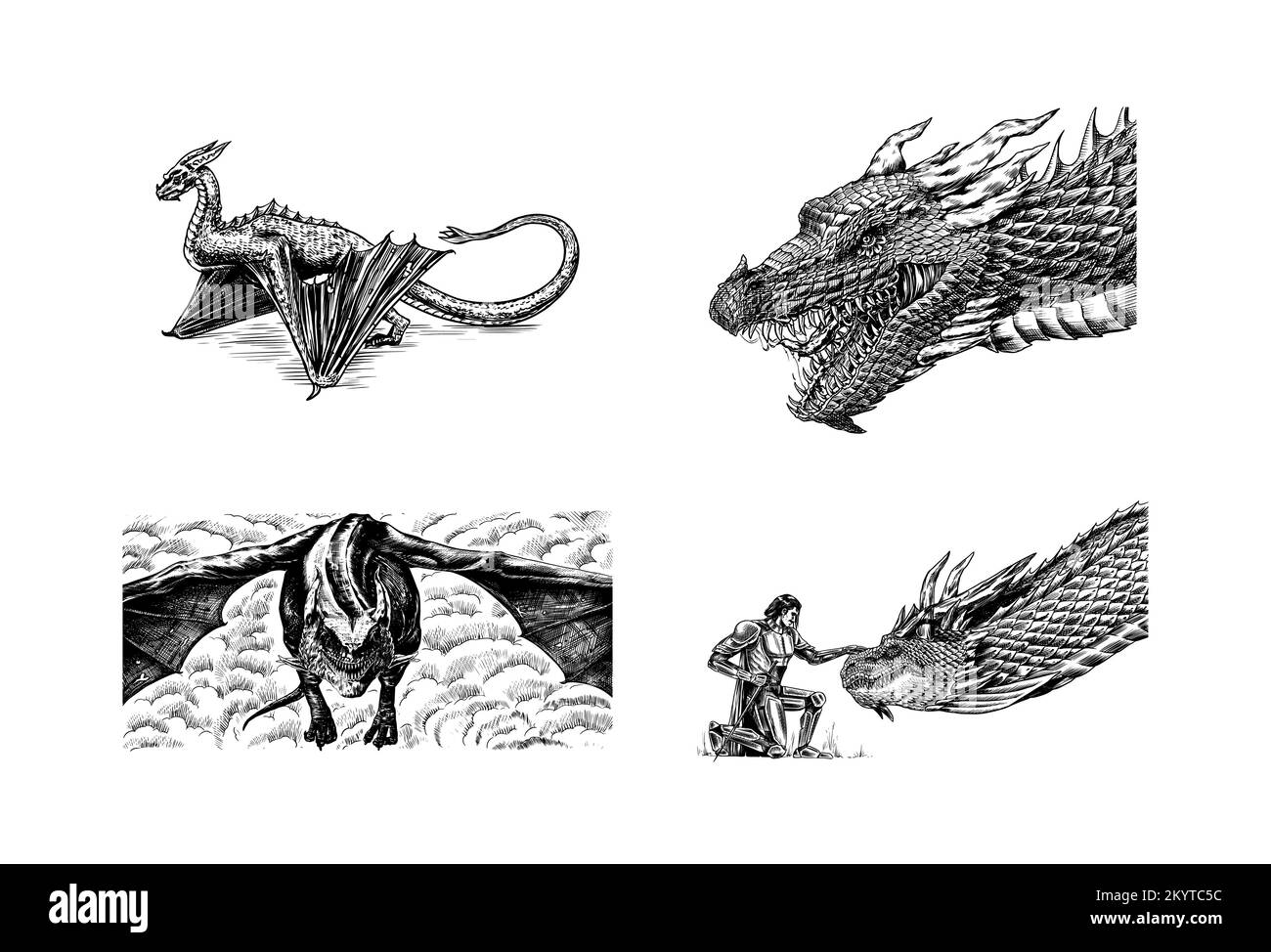 Drago in stile vintage. Animale mitologico o rettile tradizionale. Simbolo per tatuaggio o etichetta. Linea disegnata a mano incisa art vecchio schizzo monocromatico Illustrazione Vettoriale