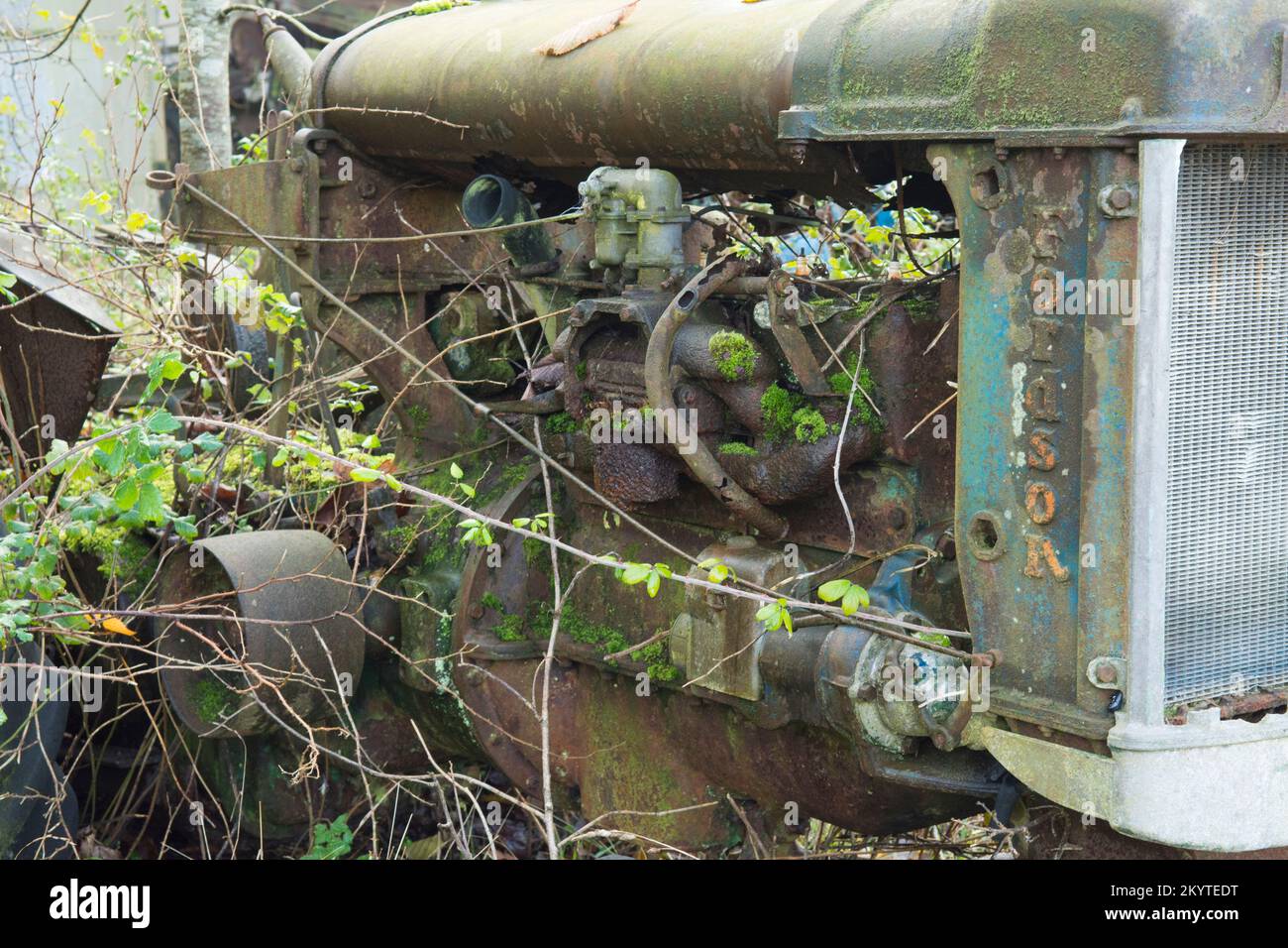 Particolare del motore in vecchio trattore Fordson arrugginito abbandonato, cresciuto con erbacce e brami, Regno Unito Foto Stock