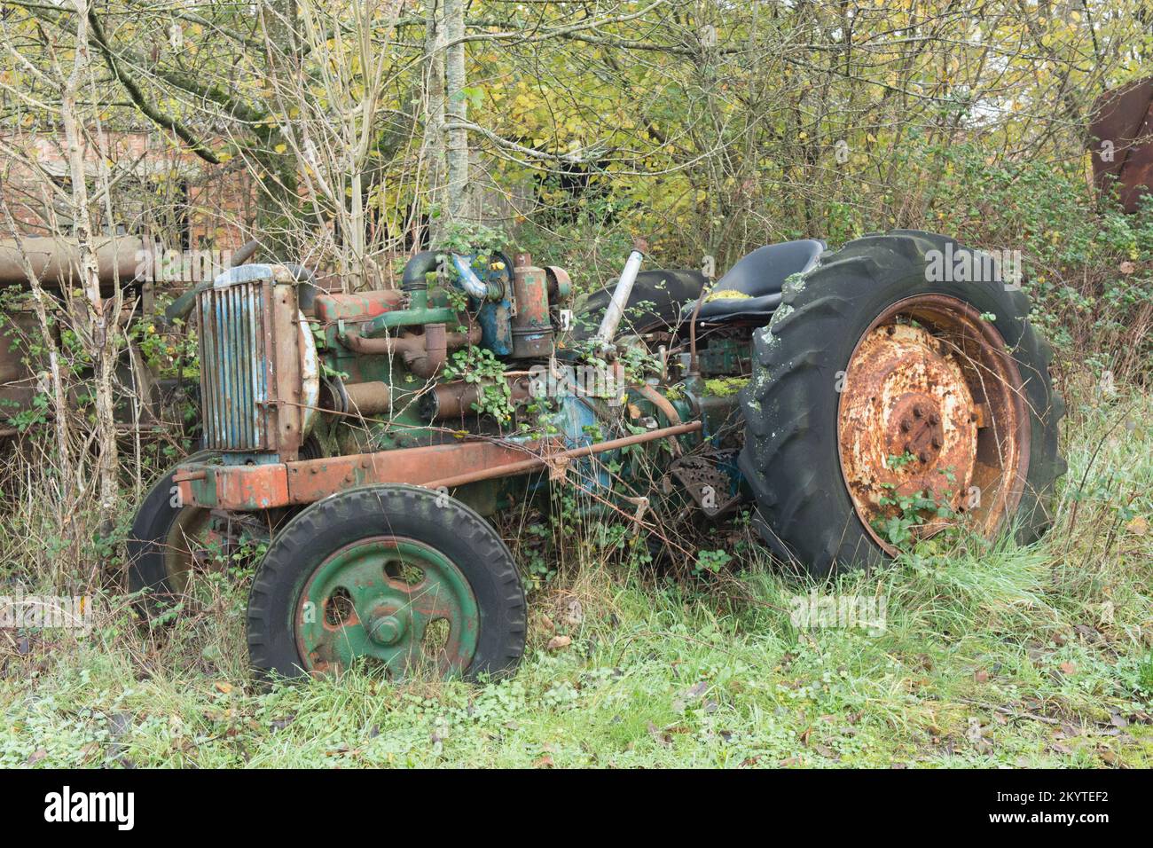 Vecchio trattore Fordson arrugginito abbandonato cresciuto con erbacce e brambles ma attraente, Regno Unito Foto Stock