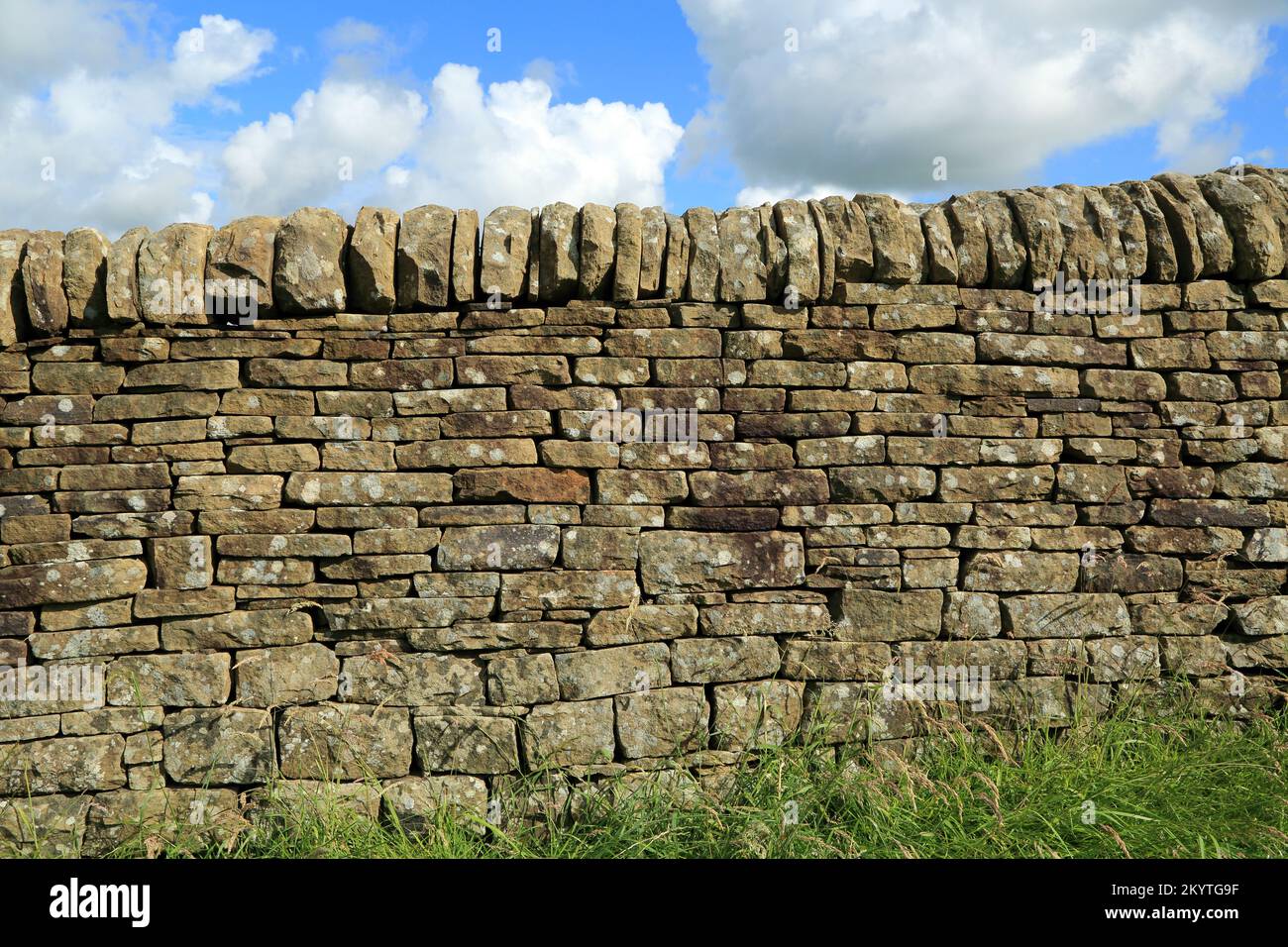 Esempio di muro di pietra arenaria a secco proveniente dal West Yorkshire, Inghilterra Foto Stock