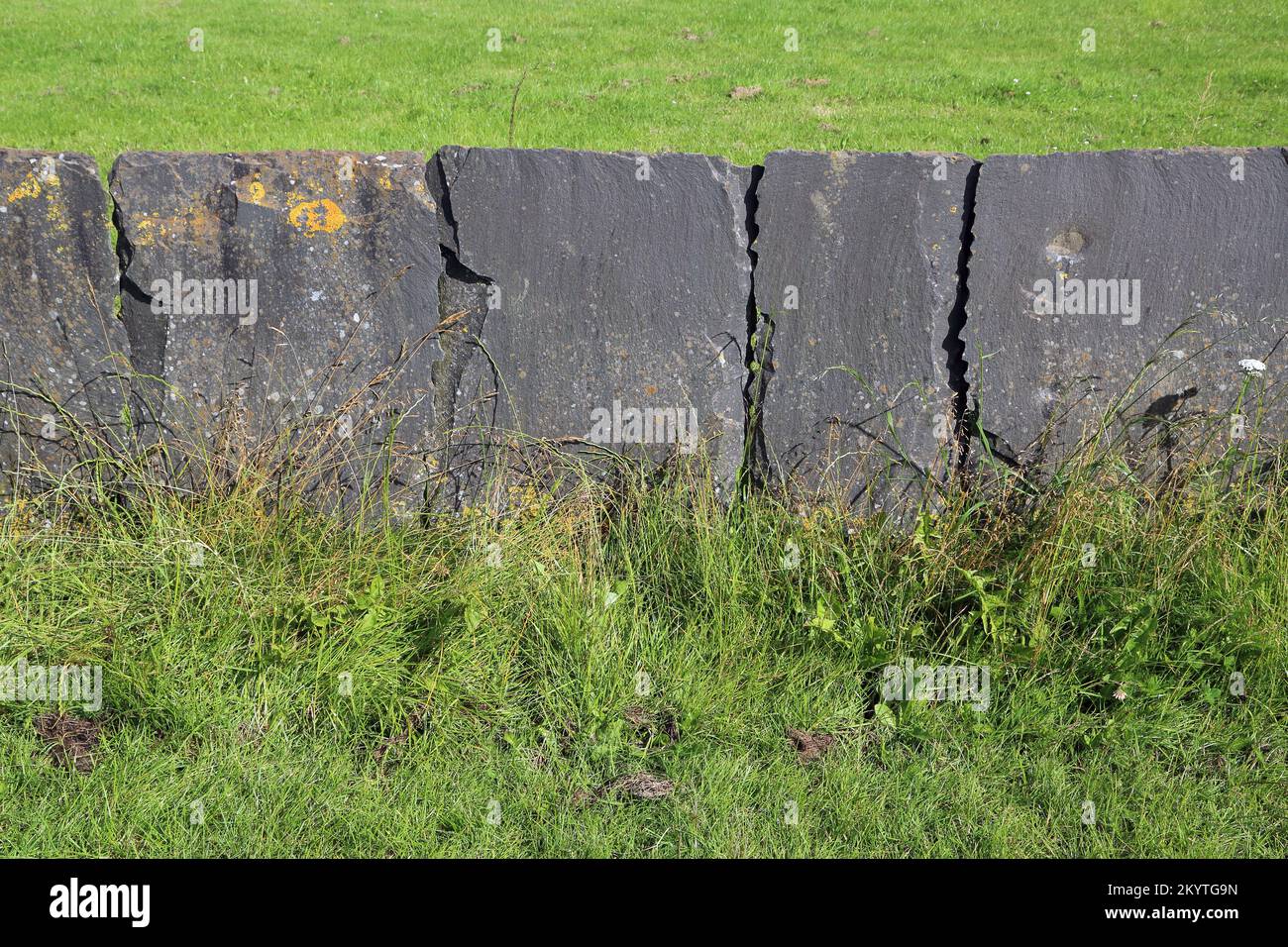 Esempio di Cumbrian Brathay Flags parete di pietra a secco fatta da pietra di ardesia blu, Cumbria, Inghilterra Foto Stock