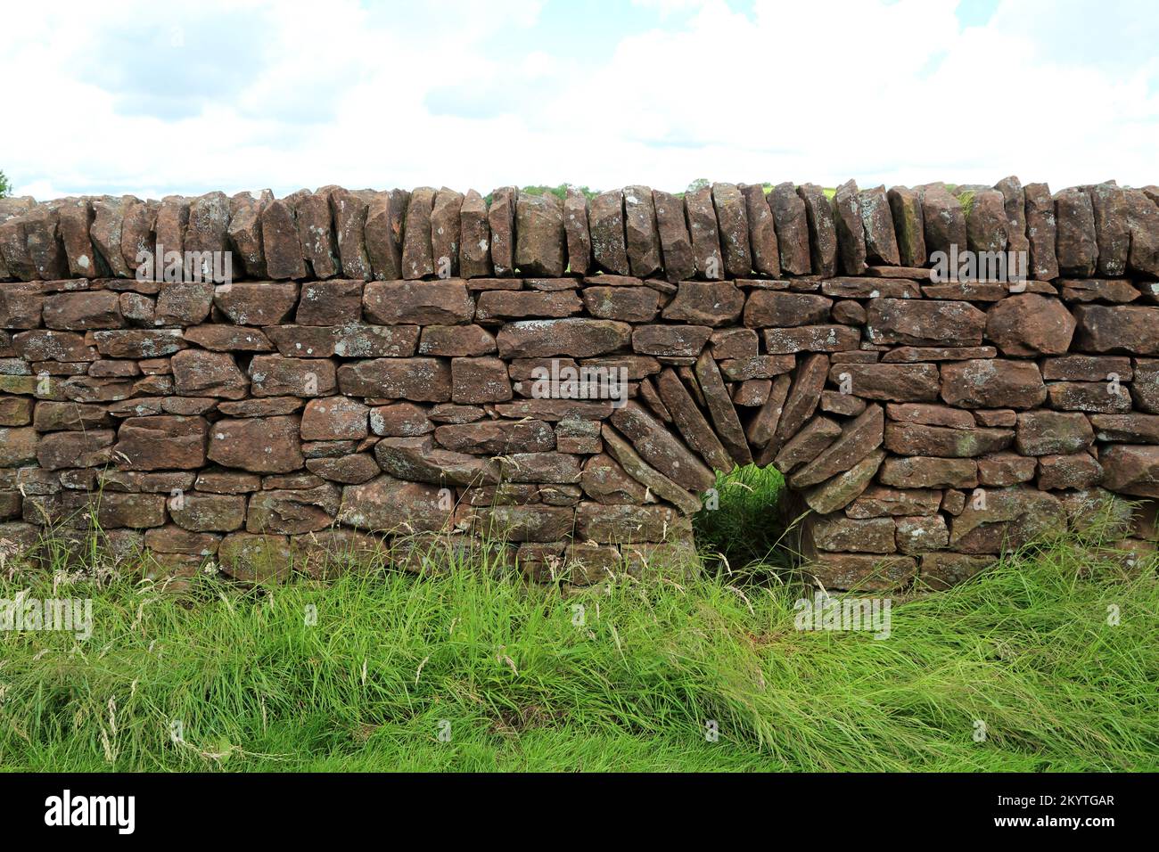 Esempio di muro di pietra arenaria a secco con arco per gli animali di passare attraverso le Fells Settentrionali di Cumbria, Inghilterra Foto Stock