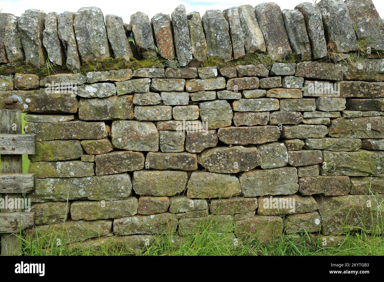 Esempio di muratura a secco in pietra arenaria della Northumbria Foto Stock