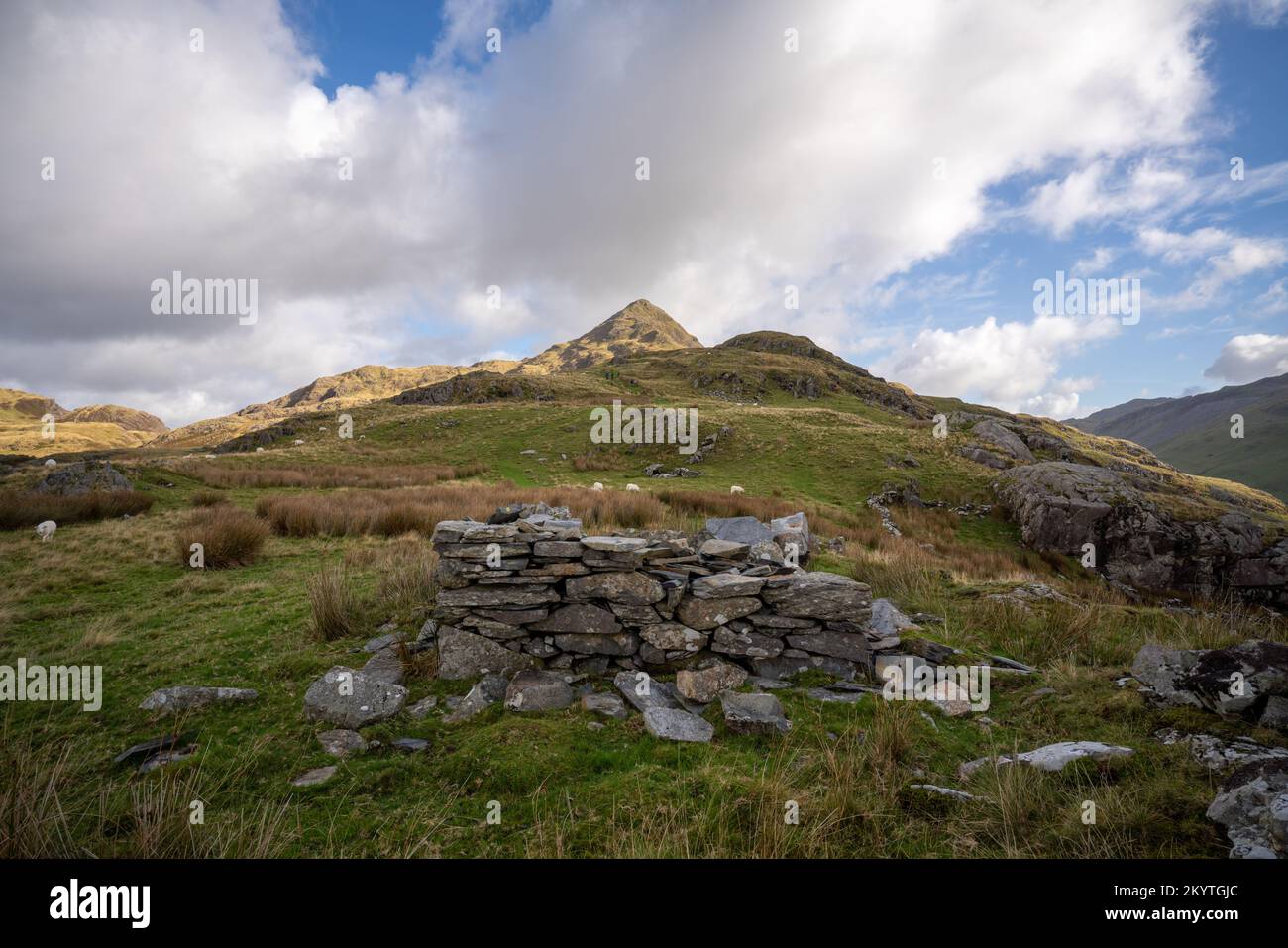 Sulla strada che sale Cnicht Mountain nel parco nazionale Snowdonia nel Galles del Nord, Regno Unito, Foto Stock
