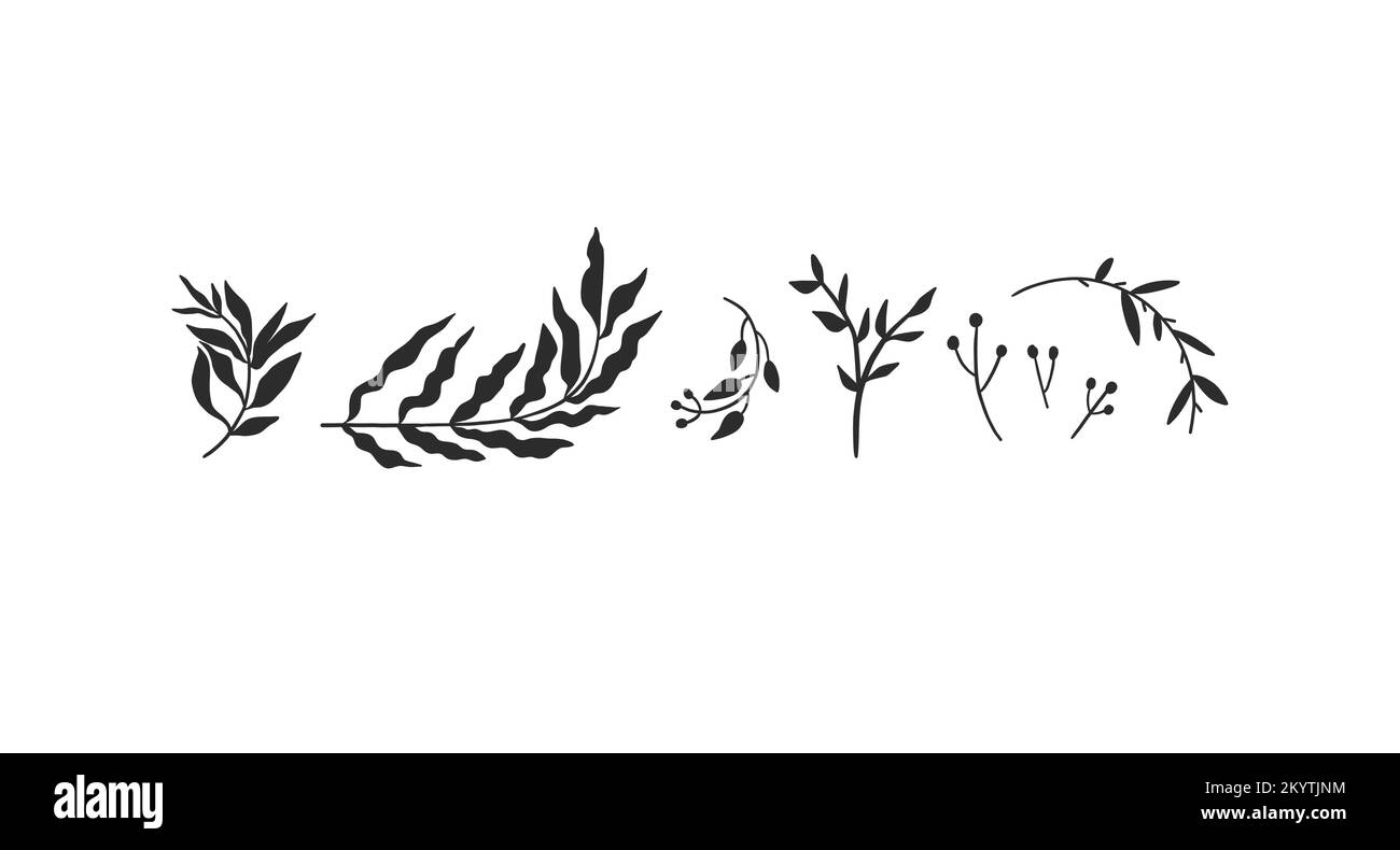 Disegno a mano vettoriale astratto stock piano grafica disegno illustrazioni collezione set con elementi logo di naturale, nero decorativo foglie Illustrazione Vettoriale