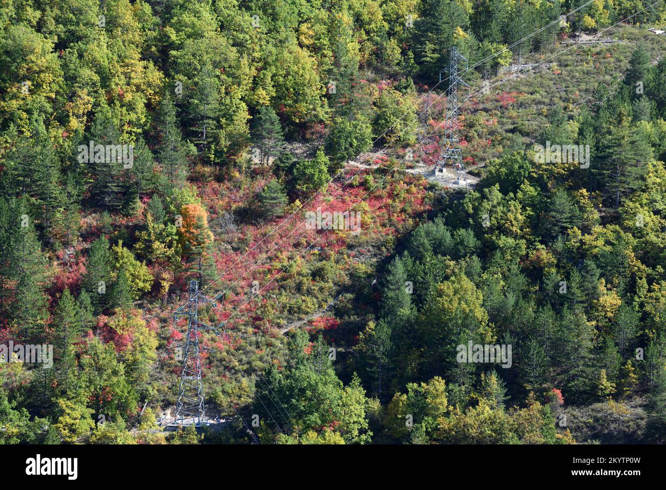 Taglio attraverso la foresta per la linea elettrica e tralicci elettrici, che funziona anche come un incendio o un Fuel Break Foto Stock