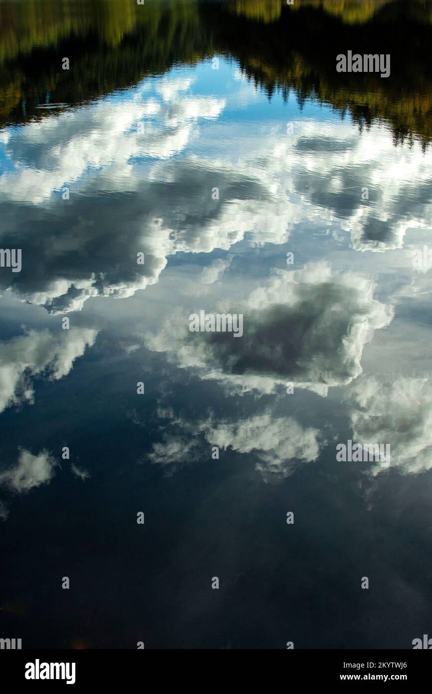Riflessi di nuvole nel lago di Marcenat. Cantal. Auvergne Alpi del Rodano. Francia Foto Stock
