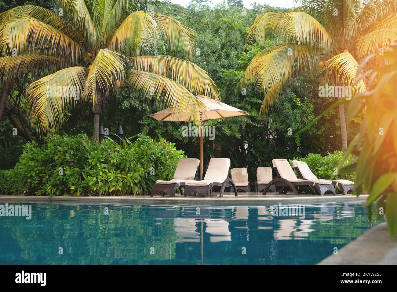 Sdraio e ombrellone accanto alla piscina su verde sfondo tropicale Foto Stock