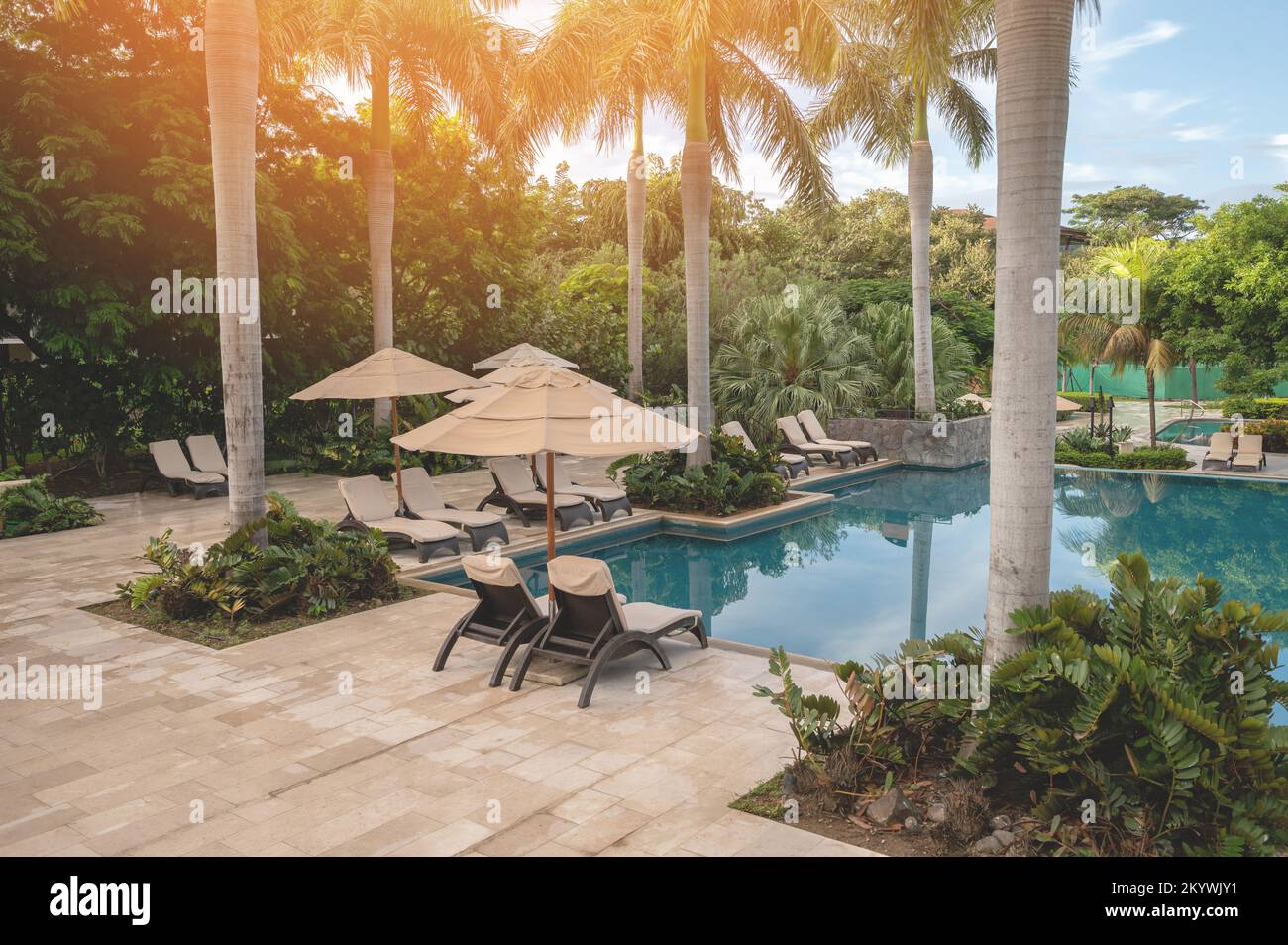 Sedie e ombrellone intorno alle palme tropicali nel resort dell'hotel Foto Stock