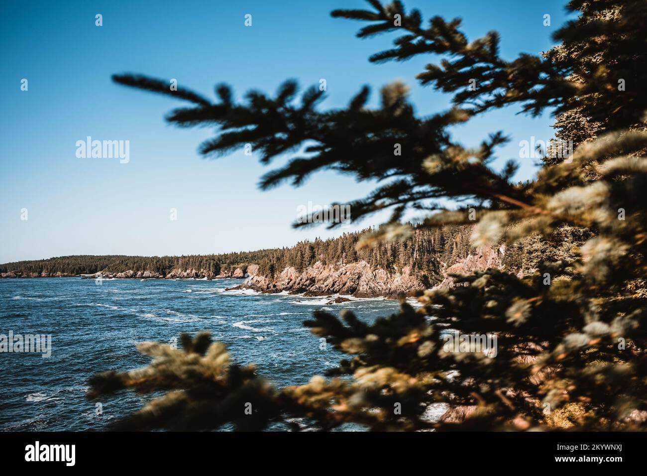 L'aspra costa rocciosa del Maine a Cutler Public Reserved Land. Foto Stock