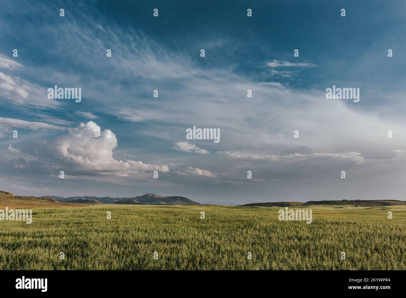 Terra verde fattoria con cielo blu e nuvole di whisky in Idaho Foto Stock