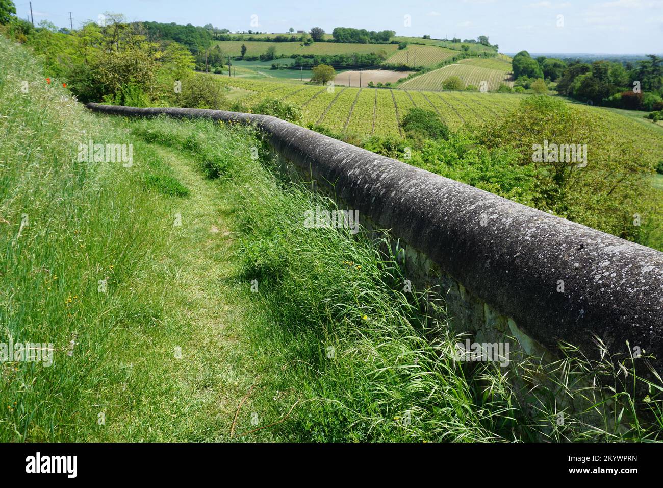 Sentiero escursionistico lungo il vigneto nella valle della Loira, in Francia da un vecchio muro di pietra Foto Stock