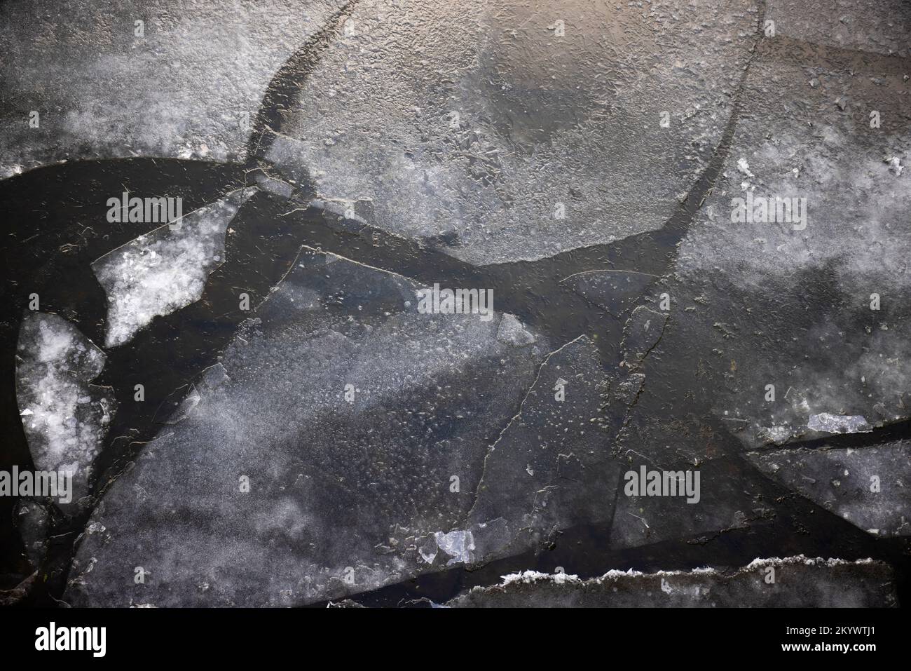 Pezzi di galleggianti di ghiaccio galleggiano sulla superficie Foto Stock