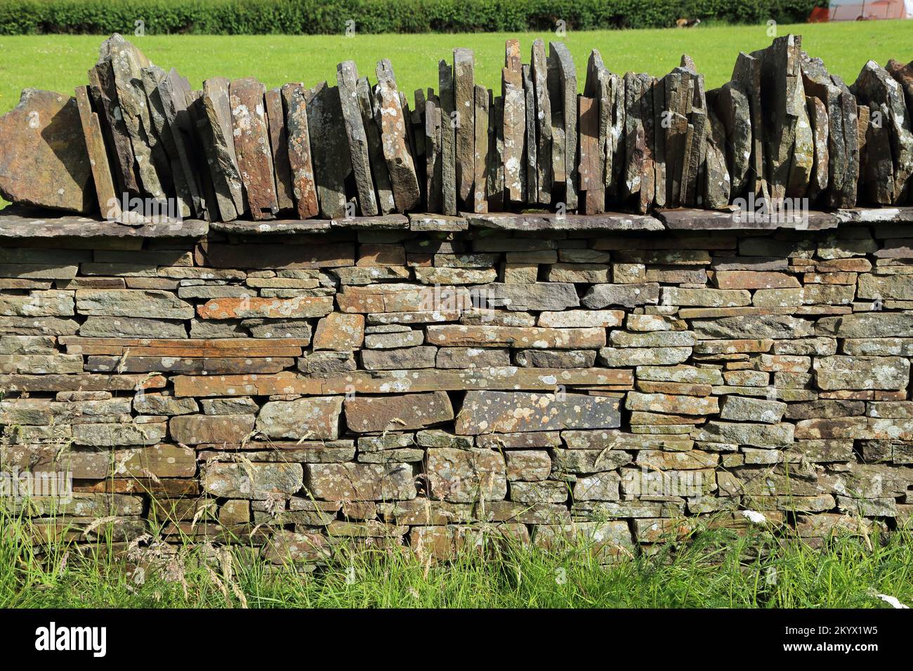 Esempio di muro di pietra arenaria a secco Pennant del Galles del Sud, Regno Unito Foto Stock
