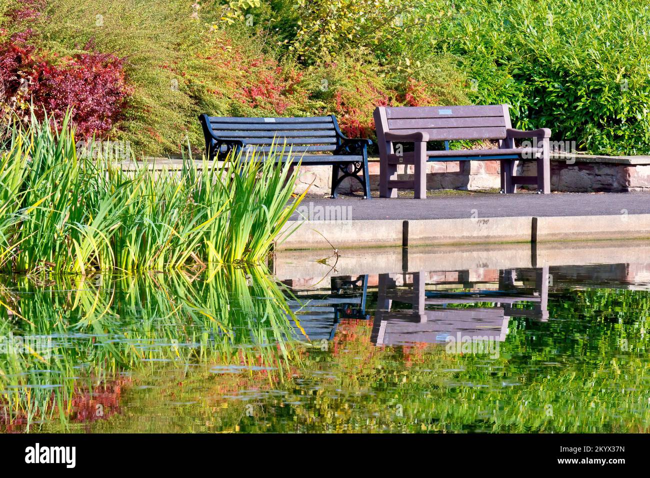 Due panchine vuote e la plantlife circostante si riflettono nelle acque calme di Keptie Pond ad Arbroath, Angus, Scozia, in un giorno di sole autunnale. Foto Stock